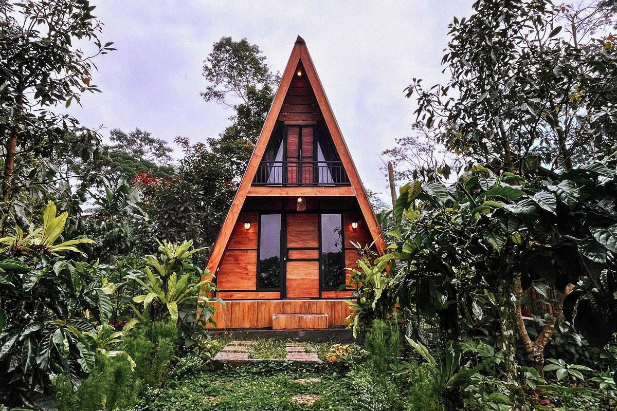 A triangular wooden cabin surrounded by lush greenery.