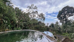 Ein Schwimmbad, umgeben von üppiger Vegetation und einem Pavillon.