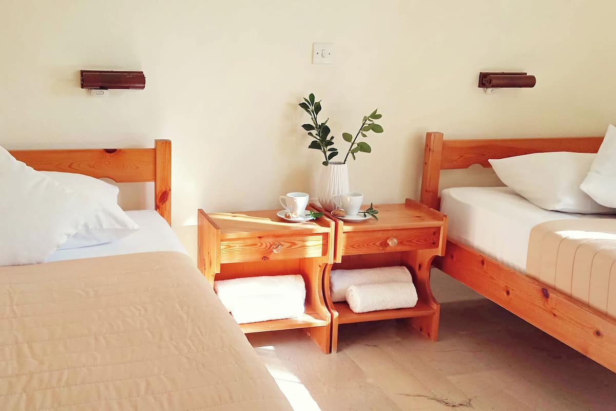 A hotel room with two wooden beds, white linens, a bedside table with a vase of green plants, and a small table with cups and a plate.