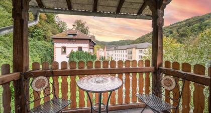 Historic villa in Bad Ems