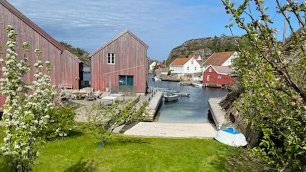 Eksteriør