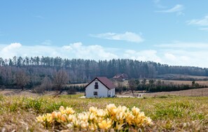Uma casa branca com telhado vermelho em área rural, rodeada por campos e uma floresta ao fundo.