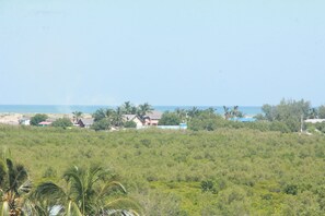 Vue depuis l’hébergement