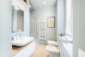 Shower, hair dryer, bidet, towels