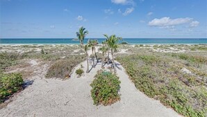 Un sendero bordeando la playa, con palmeras y vegetación escasa que conduce al océano.