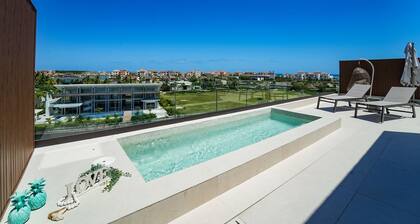 Spectacular Marina Penthouse w private rooftop