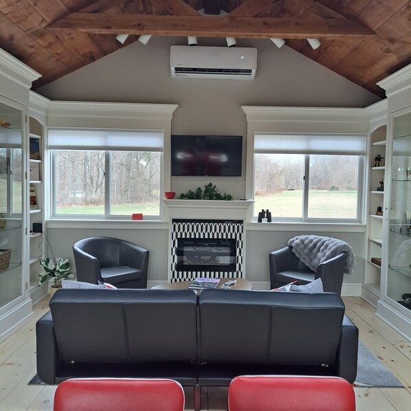 Smart TV, fireplace, books