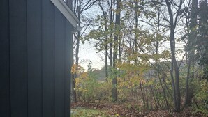 A garden with a pumpkin, a gourd, and yellow flowers near a building. - Mid Century Modern Studio w/ Full Kitchen - Newly Built (Kent)