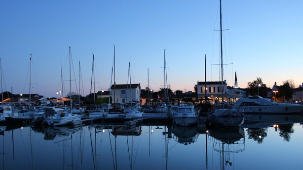A marina with multiple sailboats docked at calm water, surrounded by buildings and a clear sky.