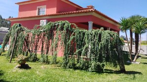Exterior - Viana do castelo Villa rioneiva (Alvarães)