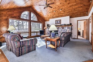 TV connectée, cheminée, lecteur de DVD, livres