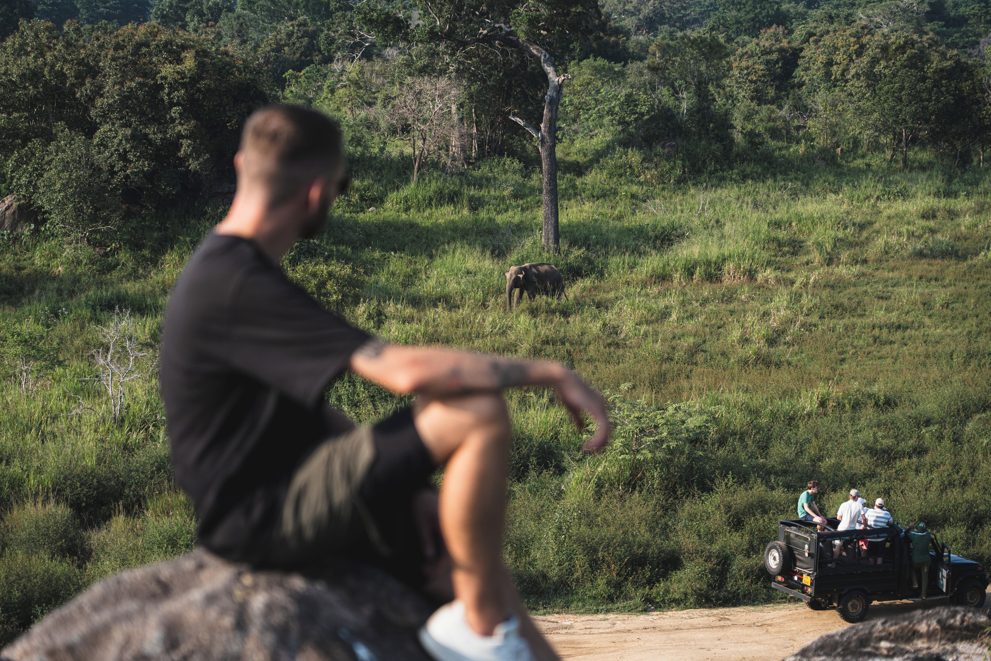 A person sitting on a rock overlooking a safari vehicle with passengers and an elephant in the background.