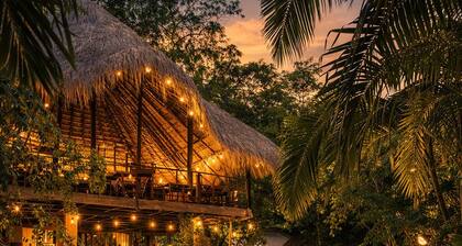 Sundaras Infinity Jungle Resort & Spa