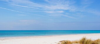 Cozy home in Cecina with WiFi