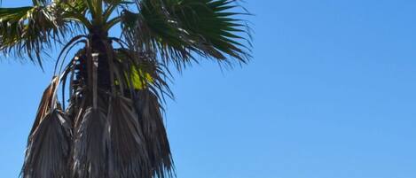 Sun-loungers, beach towels