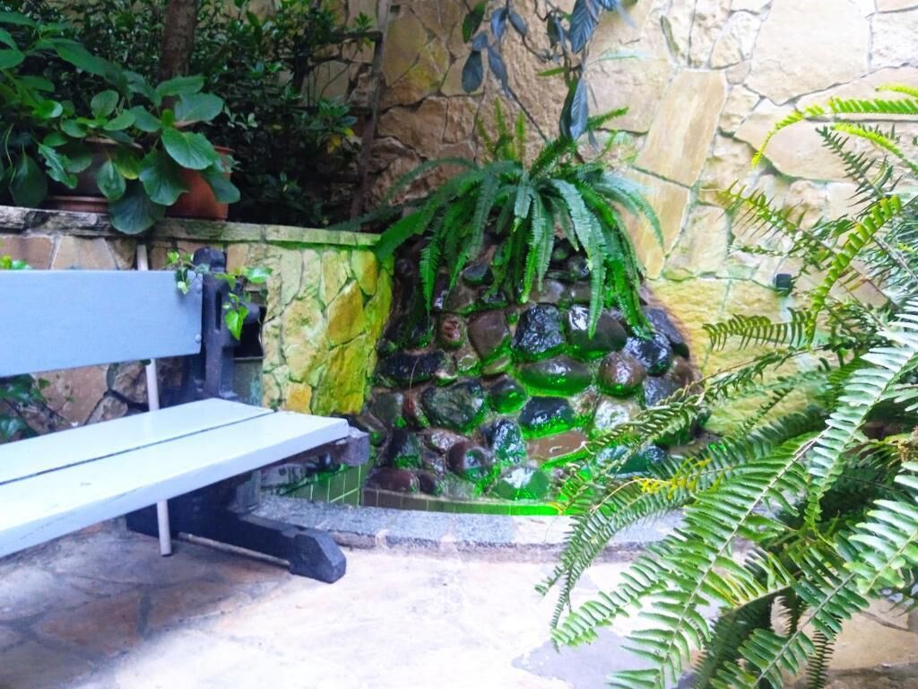 A stone bench in a garden area with a stone wall and green plants.
