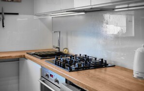 Fridge, oven, stovetop, dishwasher