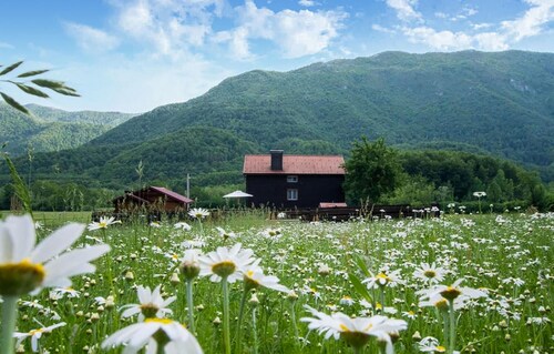 Lovely home in Gospic