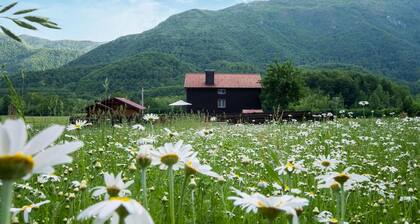 Lovely home in Gospic
