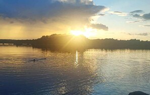 Imagen sin descripción, 4 de 22, botón