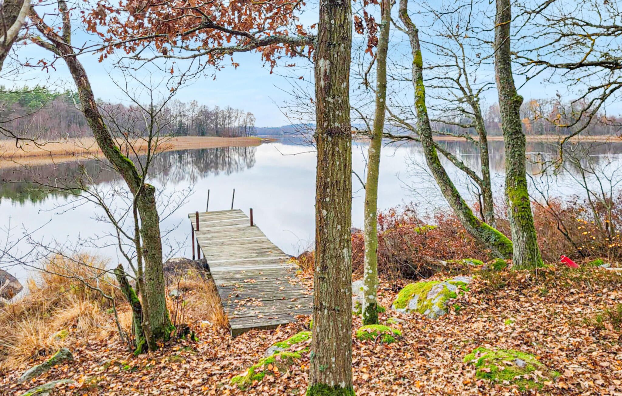 Une jetée en bois s’étendant sur un lac paisible, bordé d’arbres aux feuilles d’automne.
