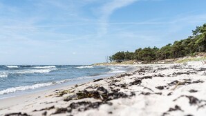Ein Strand mit Wellen, Sandufer und Bäumen im Hintergrund.