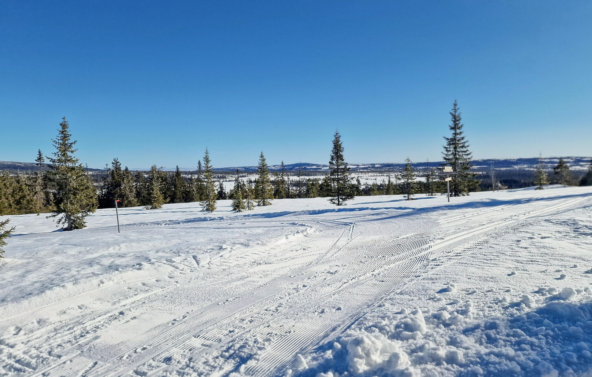 A snowy landscape with a clear sky, a ski trail, and sparse trees.