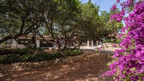 Ein Garten mit Bäumen und Bougainvillea-Blumen, eine Steinmauer und ein Gebäude mit Säulen im Hintergrund.