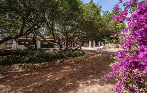 Overnattingsstedets uteområder