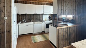 A compact kitchen with white cabinets, a dishwasher, and a stove. - Awesome apartment in Rauland (Rauland)