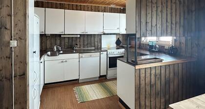 Awesome apartment in Rauland
