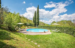 Pool - Gorgeous apartment in Radicondoli (Radicondoli)