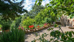 Een tuin met een grindpad, verschillende planten en een stenen muur.