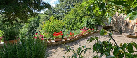 Un jardín con un sendero de grava, diversas plantas y un muro de piedra.