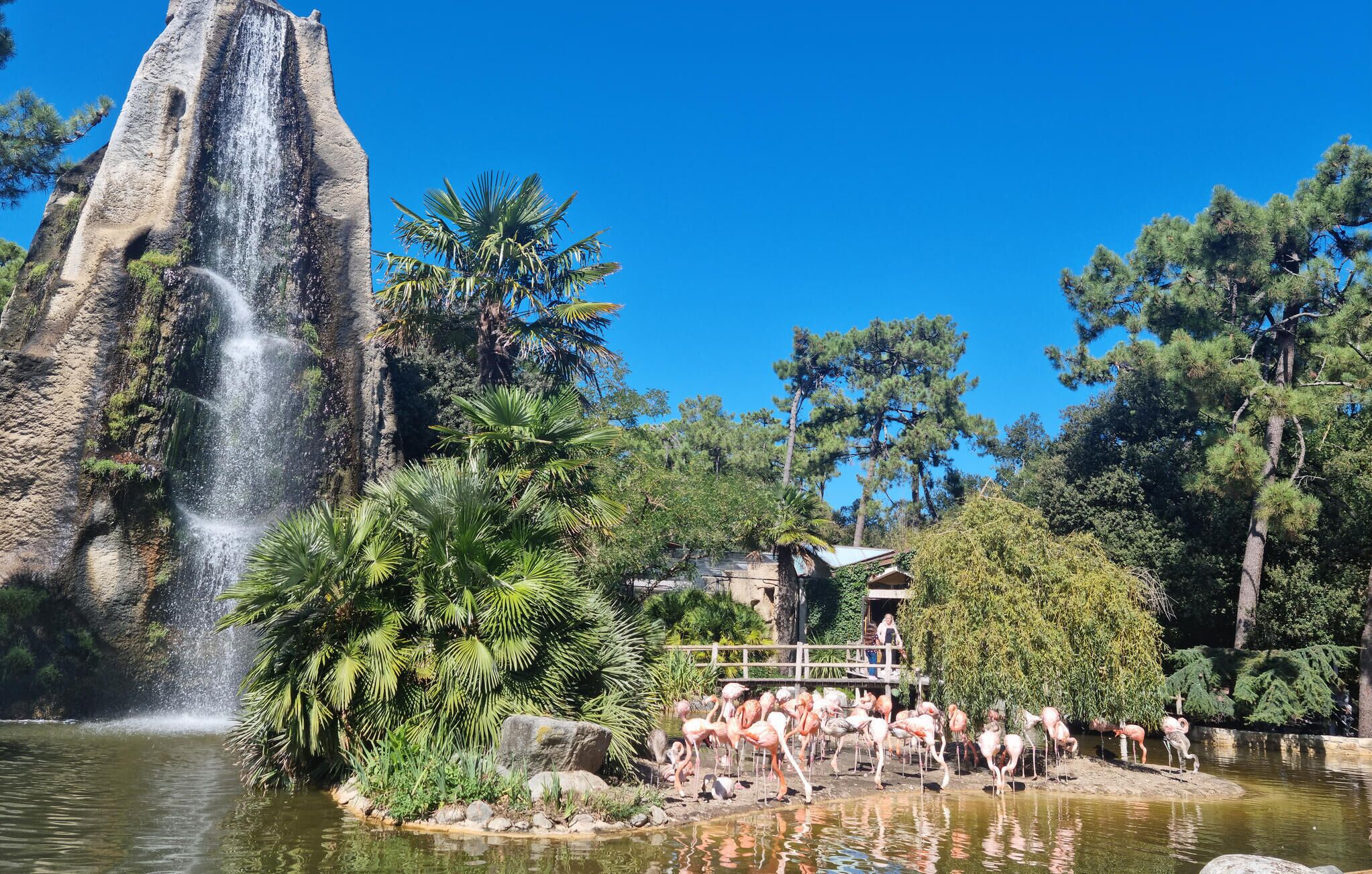 A waterfall, a pond with flamingos, and a bridge.