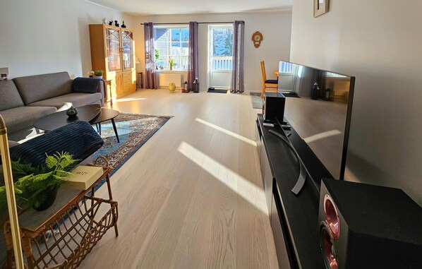 Smart-TV og DVD-spiller