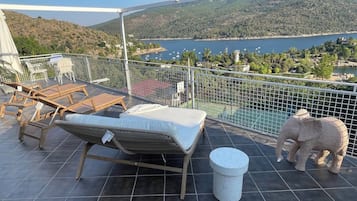 Terras