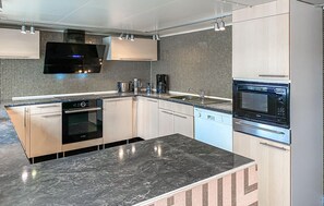 Kühlschrank, Mikrowelle, Herdplatte, Geschirrspüler