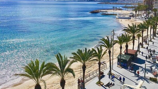 A coastal view with a beach, palm trees, and a promenade with people walking.
