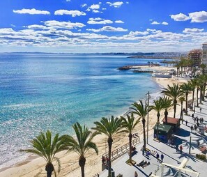 Une vue sur la côte, avec une plage, des palmiers et une promenade où l’on voit des gens se promener.