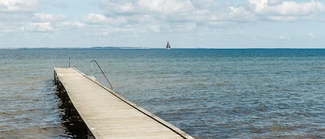 Pesca