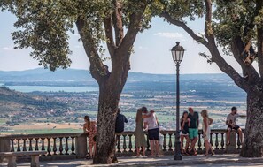 A scenic overlook with a stone balustrade, trees, and a distant view of a town and lake.