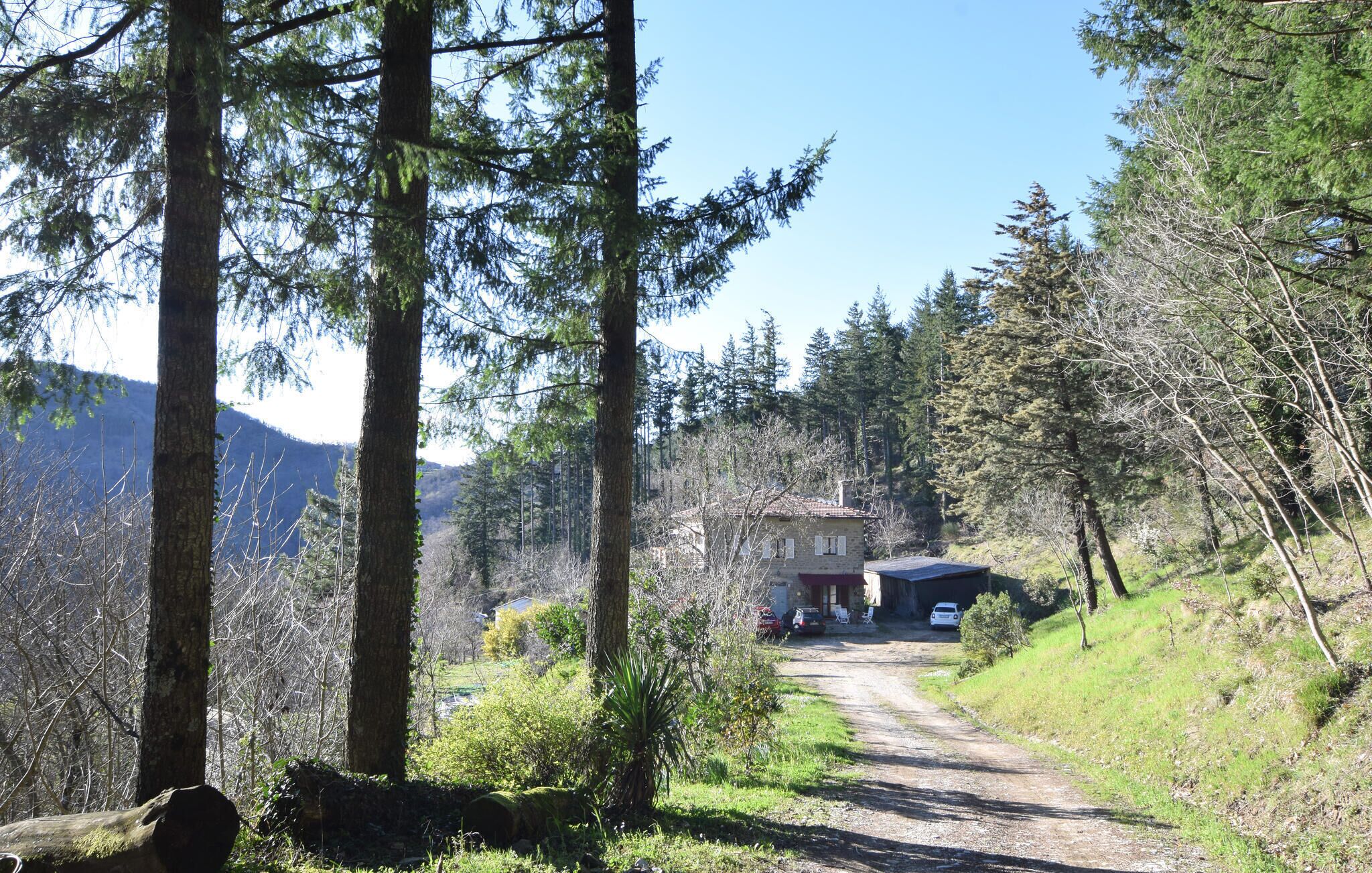 Uma cabana rústica com um caminho de terra que a leva, rodeada por uma floresta densa e montanhas.