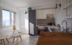 Fridge, oven, dishwasher, cookware/dishes/utensils