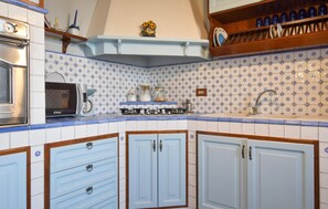 Fridge, stovetop, dishwasher