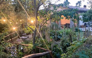 Property grounds - Pet friendly home in Castelfranco Piandiscó (Castelfranco Piandiscó)