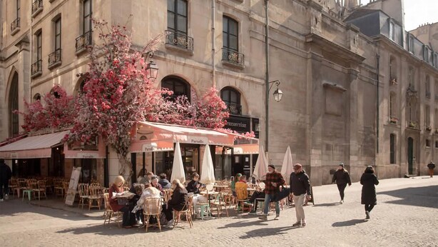 An outdoor café with tables and chairs, a building with classical architecture in the background, and a tree with pink flowers.