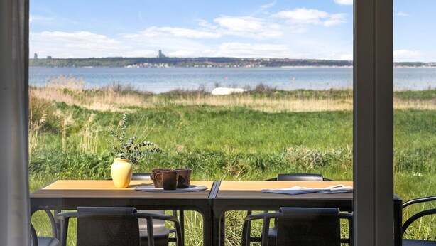 Ein Tisch mit einer gelben Vase und zwei braunen Tassen, mit Blick auf eine Wiese und ein Gewässer mit Gebäuden in der Ferne.