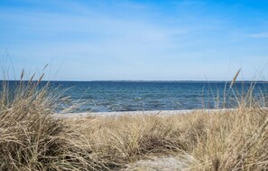 In Strandnähe, Angeln