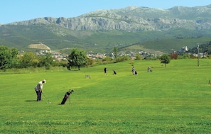 Golf